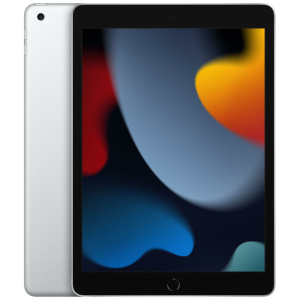 Apple iPad 10.2" 256GB Wifi Silver 2021 (9th Gen)
