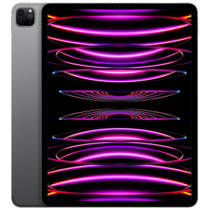 Apple iPad Pro 12.9" Wi-Fi + Cellular 2TB Space Gray Unlocked